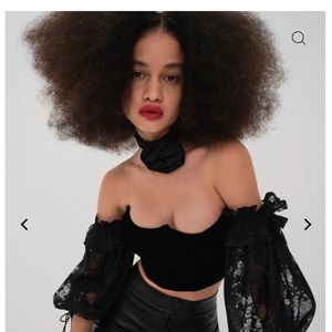 NWT For Love & Lemons Regina Corset Top